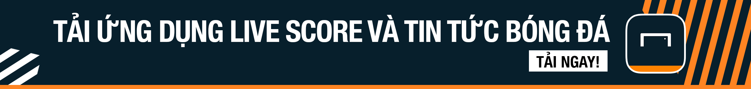 球迷热议的 球迷热议的